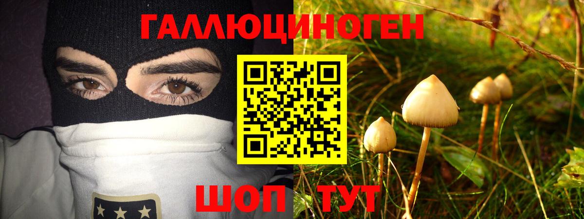 Галлюциногенные грибы мицелий Братск