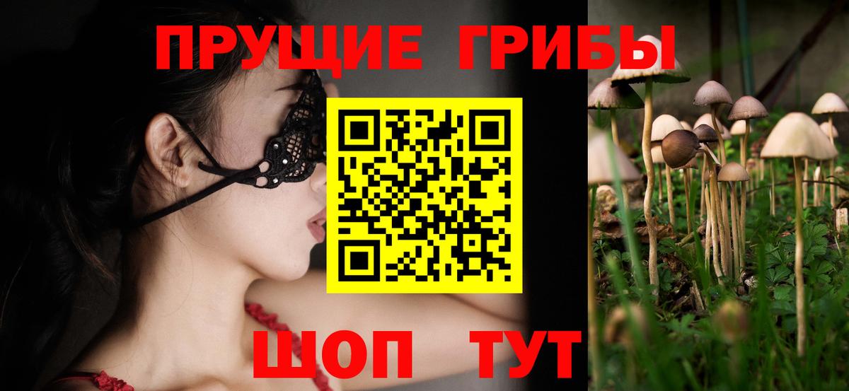 Братск  Галлюциногенные грибы GOLDEN TEACHER  Вход с VPN 